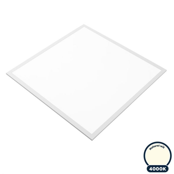 nationale vlag Bouwen op Vermaken Led paneel 60x60 4000K naturel wit Basic