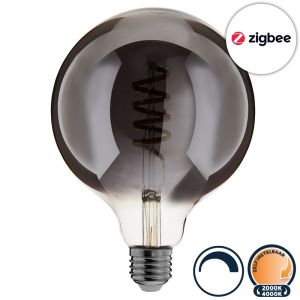 Zigbee led lamp E27 globe 2000K-4000K (G125)